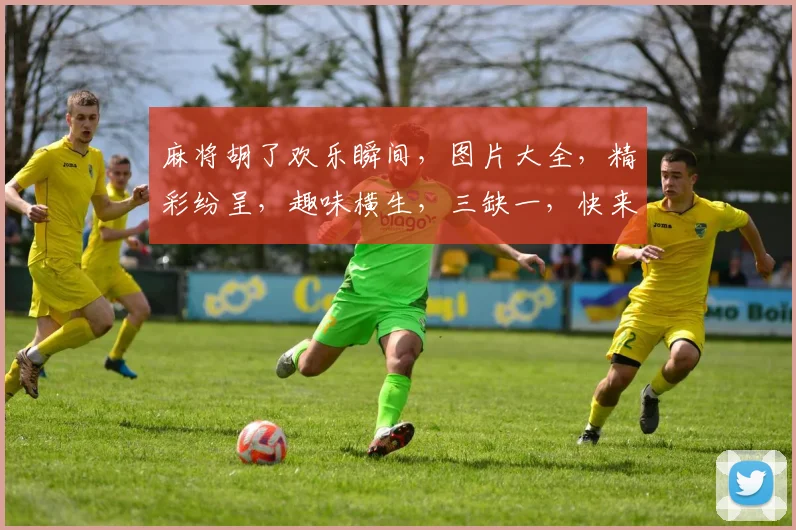 麻将胡了欢乐瞬间，图片大全，精彩纷呈，趣味横生，三缺一，快来加入