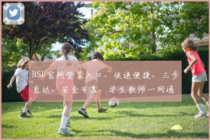 BSU官网登录入口，快速便捷，三步直达，安全可靠，学生教师一网通，轻松登录