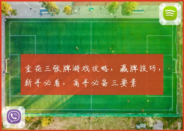 金花三张牌游戏攻略，赢牌技巧，新手必看，高手必备三要素
